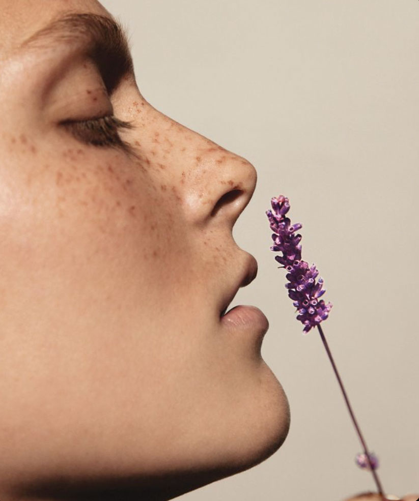 lavanda